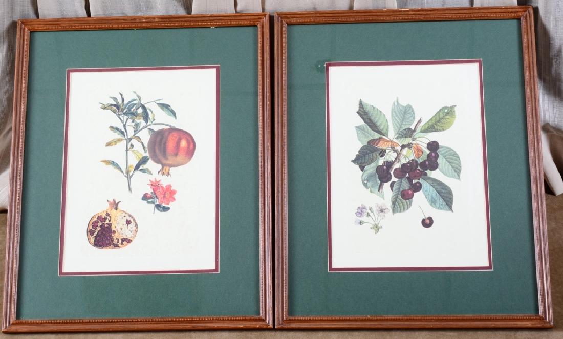 Two Fruit Prints-Cherries & Pomegranates (1 of 3)