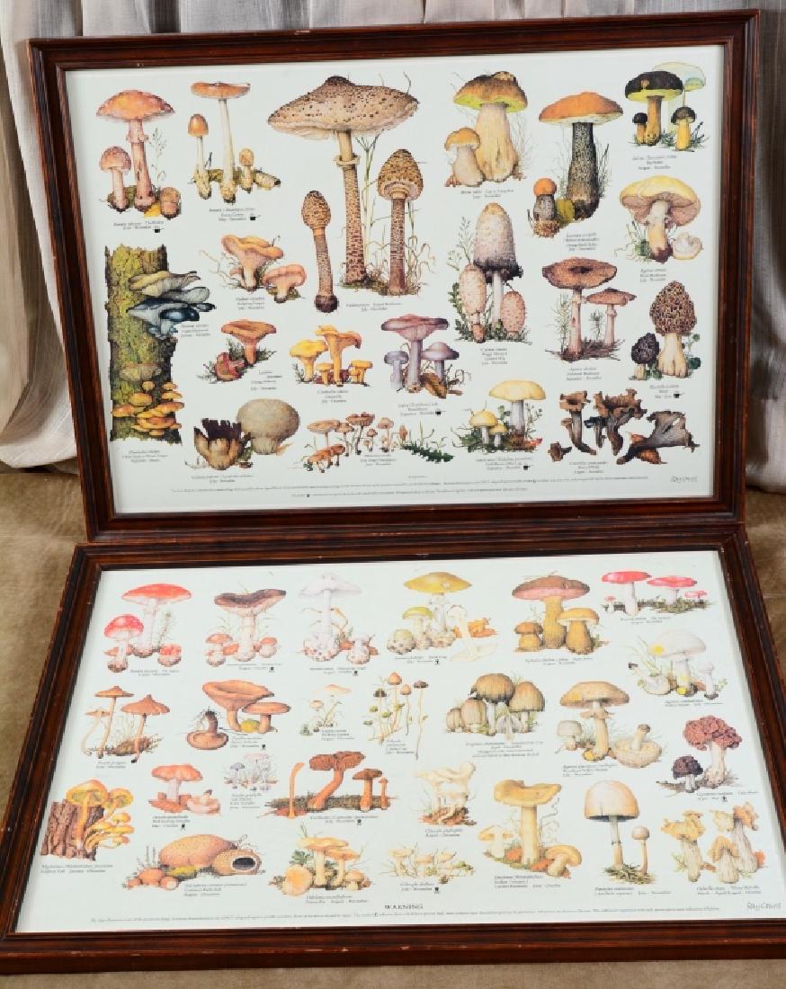 Framed Ray Cowell Edible Fungi (Mushroom) Charts (1 of 3)