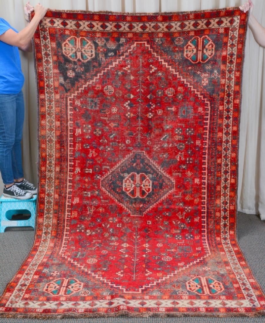 Shiraz Rug, Iran (1 of 3)