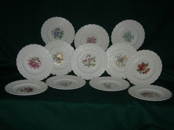 12 Copeland Spode Bermuda Flower Plates: 12 Signed Handpainted Copeland Spode Bermuda Flowers Plates with Wide Embossed Daisy Border, Made in England, 9.25" Diameter. Including: Morning Glory, Oleander, Plumbago, Passion Flower, Bougainvilla
