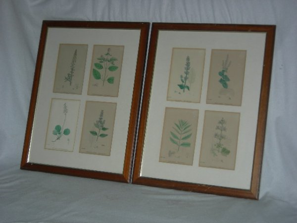 2 FRAMED MATTED BOTANICAL HERB LITHOGRAPHS: 2 Framed & Individually Matted Botanical Lithographs Depicting Various Herbs Inc. Wild English Clary, Water Horehound & Wild Mignonette, 26.75" X 20.5".