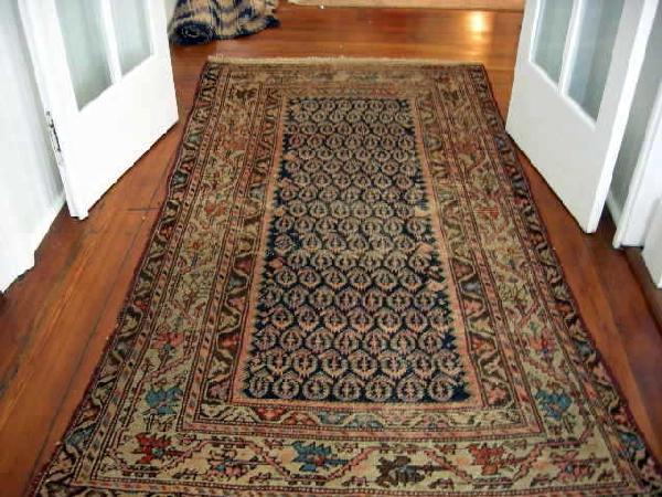 HAMADAN RUG: Iranian Hamadan Rug, 3' 7" x 7'.