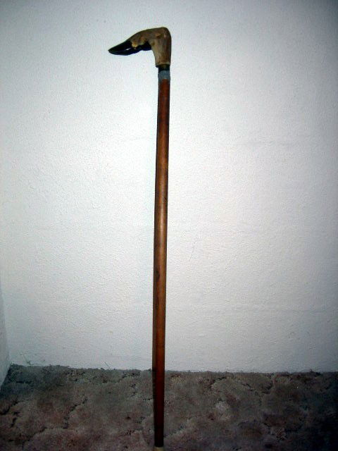 DEER HOOF HANDLE CANE: Deer Hoof Handle and Wood Shaft Walking Stick, 34" Tall.