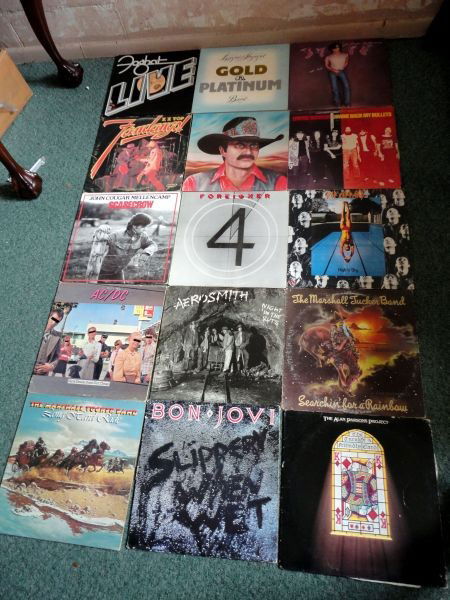 15 ROCK RECORD ALBUMS: Lot Includes Lynyrd Skynyrd Gold & Platinum, Gimme Back My Bullets; The Charlie Daniels Band Saddle Tramp; The Marshall Tucker Band Long Hard Ride and Searchin' for a Rainbow; John Cougar Mellencamp U