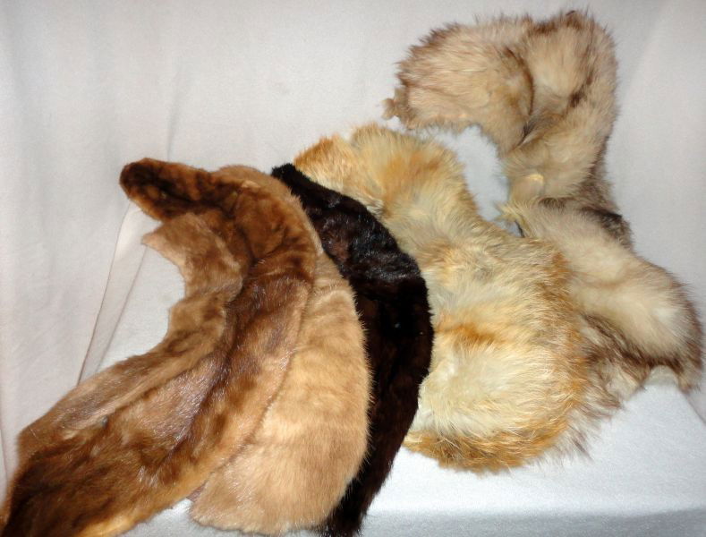 SIX VINTAGE FUR COLLARS: Including: 2 Fox and 4 Mink, 16"L -29"L.