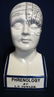 97: L.N. FOWLER PHRENOLOGY HEAD