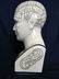 97: L.N. FOWLER PHRENOLOGY HEAD - 2