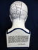 97: L.N. FOWLER PHRENOLOGY HEAD - 4