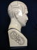 97: L.N. FOWLER PHRENOLOGY HEAD - 6