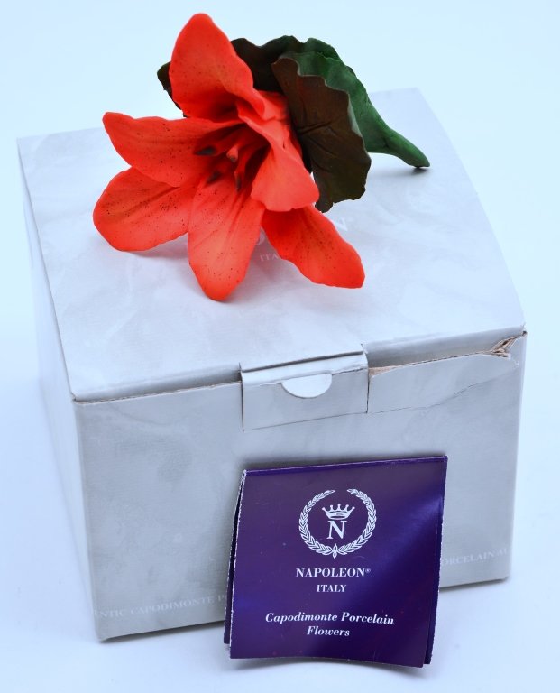 Italian Capodimonte Lilly: Booklet and box, 5" x 4" T.