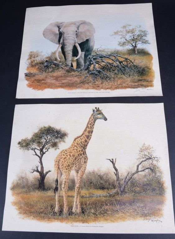 Two Denis Murphy Giraffe & Elephant Prints (1 of 4)