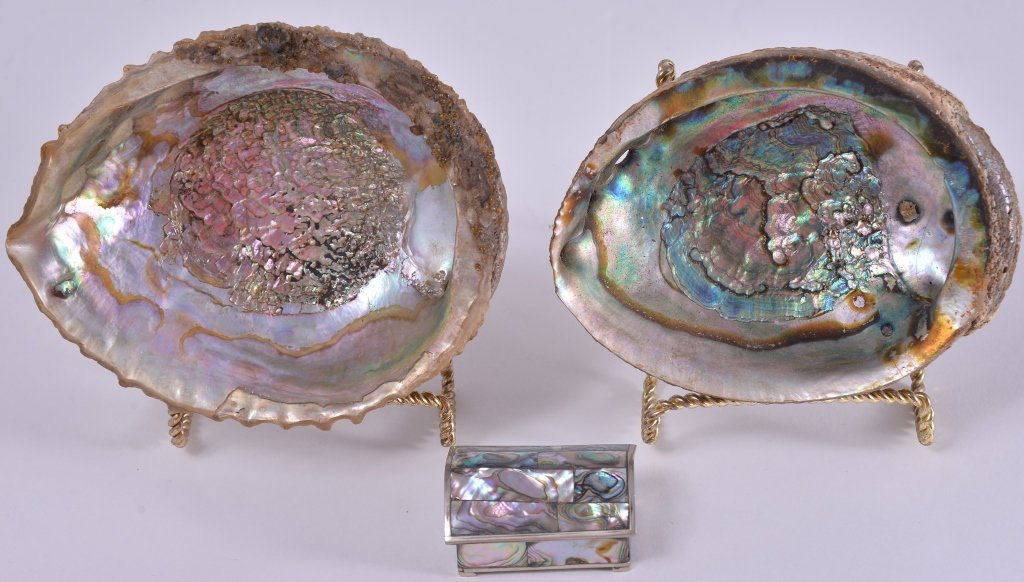 Mother of Pearl Shells & Mexican Alpaca Box: Shells 6" & 6.5"L w/2.5" x 1.25" box.