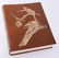 Peterson's Audubon's Birds of America