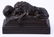 Carved Solid Mahogany Lion Bookends - 3