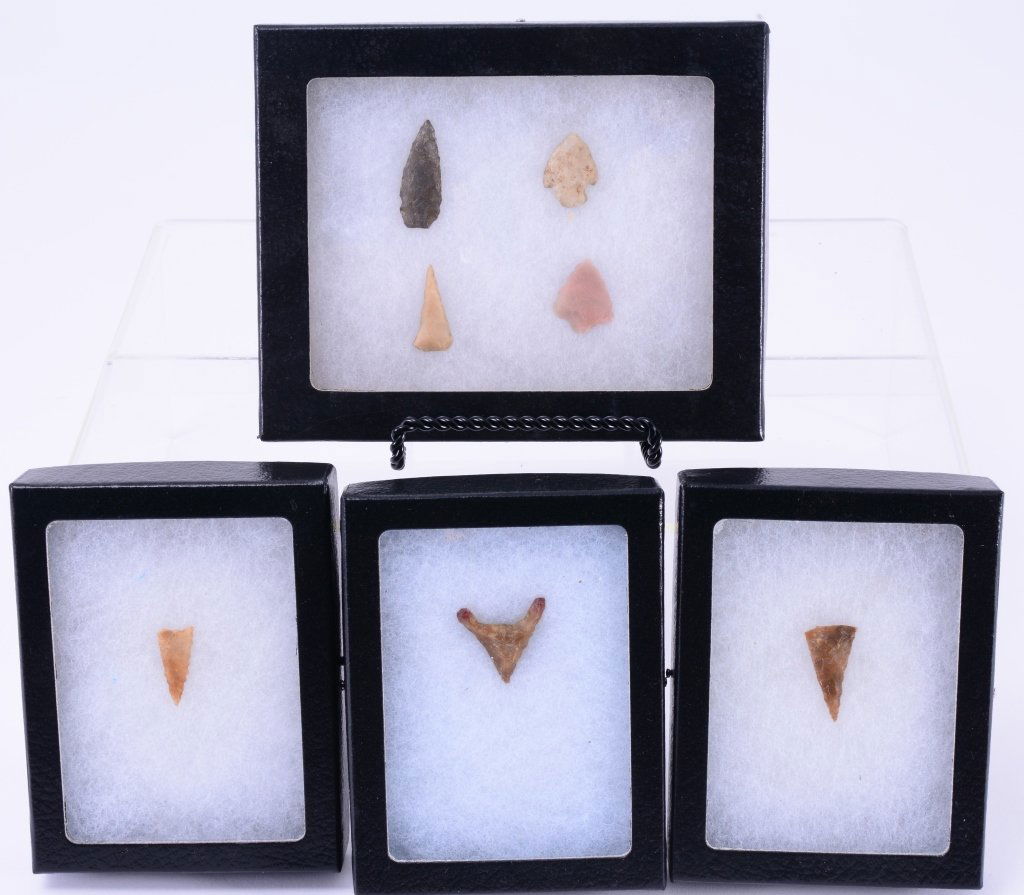 7 Bird Points in Ricker Boxes w/Pins (1 of 3)