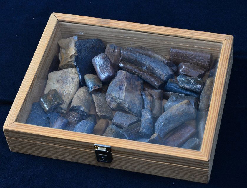 Petrified Bone Lot in Wooden Display Box: Loaded box 15" x 12" x 3" deep.