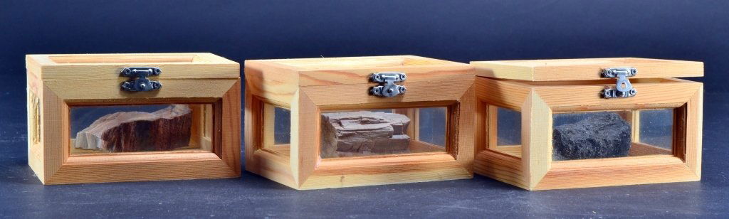 Arizona Petrified Wood in Wooden Display Boxes (1 of 4)