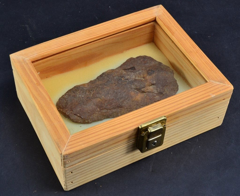 Axe Head in Wooden Display Box (1 of 2)