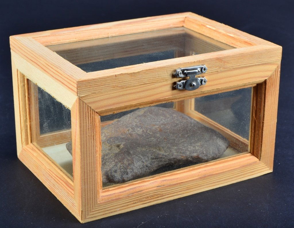 War Hammer Head in Wooden Display Box (1 of 2)