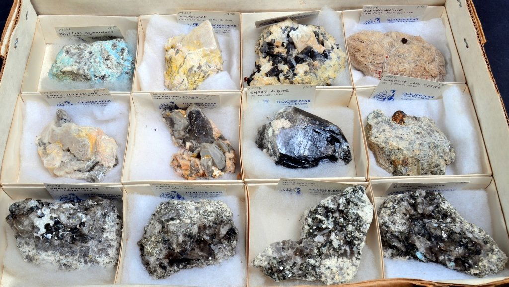 12 Medium Size Specimens (1 of 5)