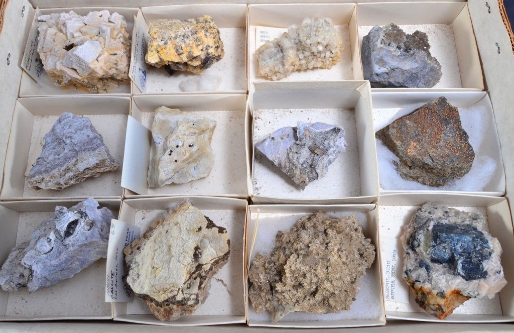 12 Identified Specimens (1 of 3)