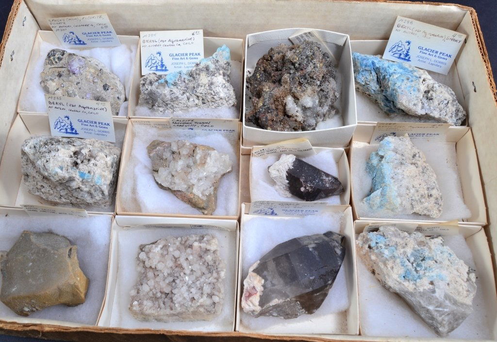 12 Identified Specimens (1 of 3)