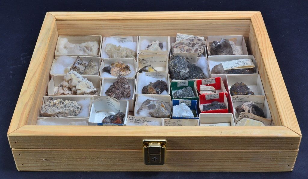28 Boxed Specimens in Wooden Display Box (1 of 5)