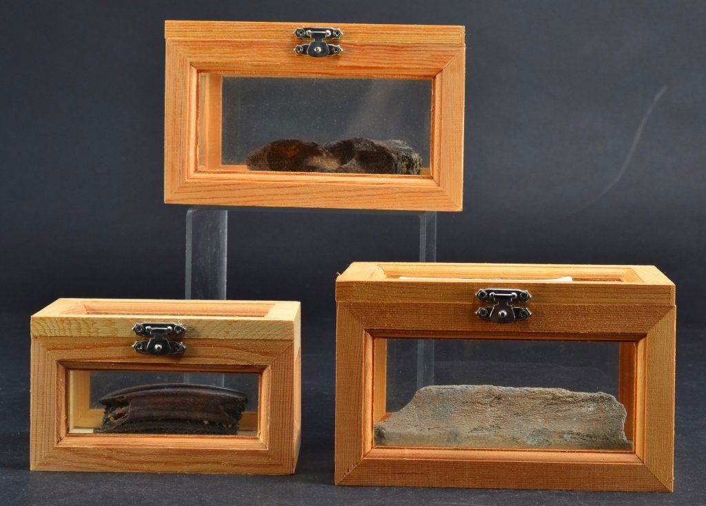 Petrified Bones in Wooden Display Boxes: Longest bone approximately .5" long.