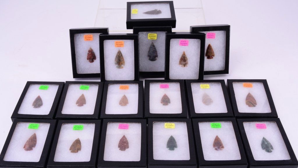 18 Newly Knapped Arrowheads in Riker Mount Boxes (1 of 5)