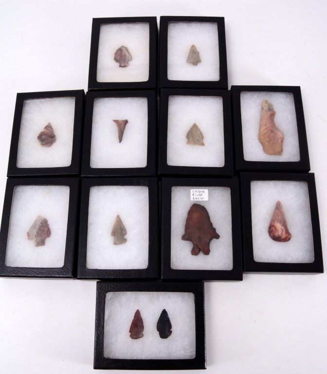 12 Arrowheads in Riker Mount Boxes w/Pins (1 of 3)