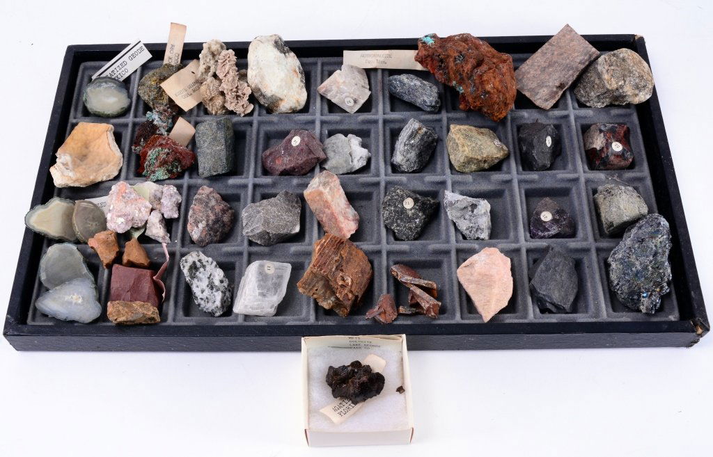 37 Small Specimens Plus (1 of 3)