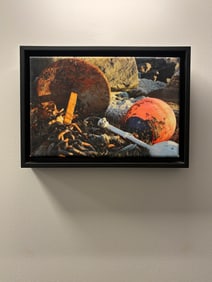 Framed Photographic Print of Lobster Buoys Freeport Maine 2010