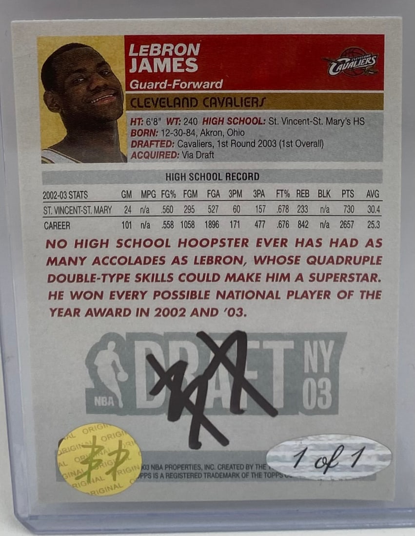 Lebron James ACEO Patch Card - 2