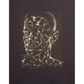 Toyin Odutola