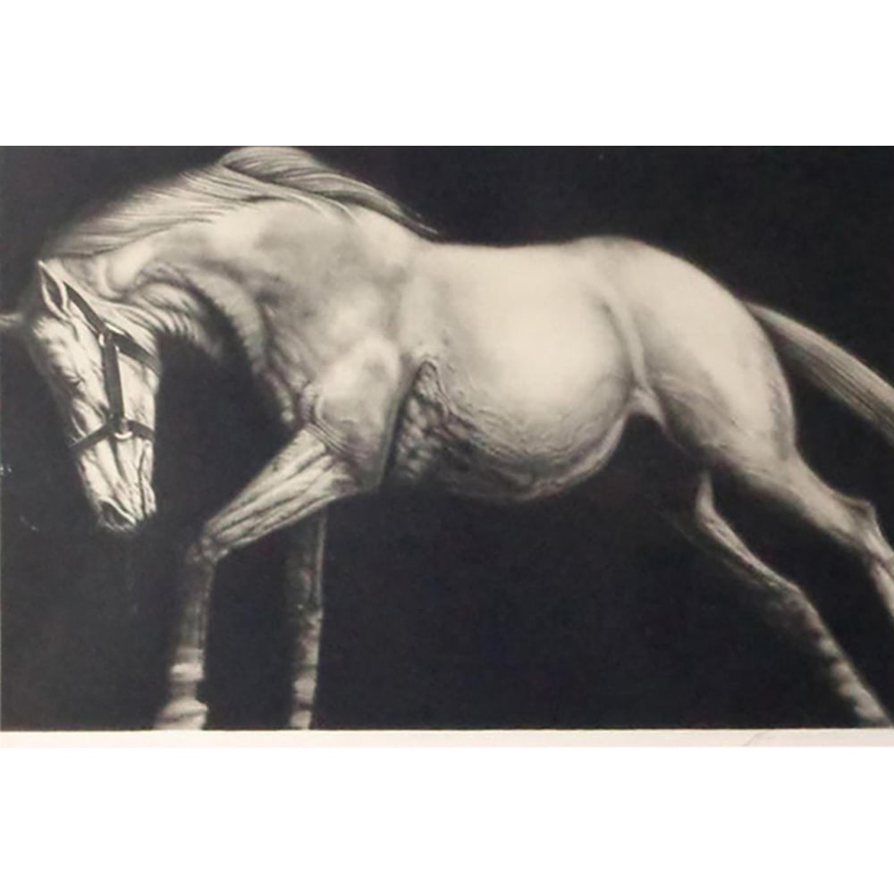 Joseph Piccillo, Edge Event I (1 of 1)