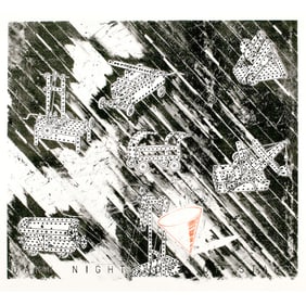 Vernon Fisher, Dark Night Full of Stars