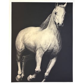 Joseph Piccillo, EP IV