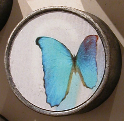 Ann Weiner, Invictus: Ann Weiner+-IBk-s technological interventions into digital photography expand the possibilities of how images are seen. Weiner begins her process by manipulating images of figures and the natural