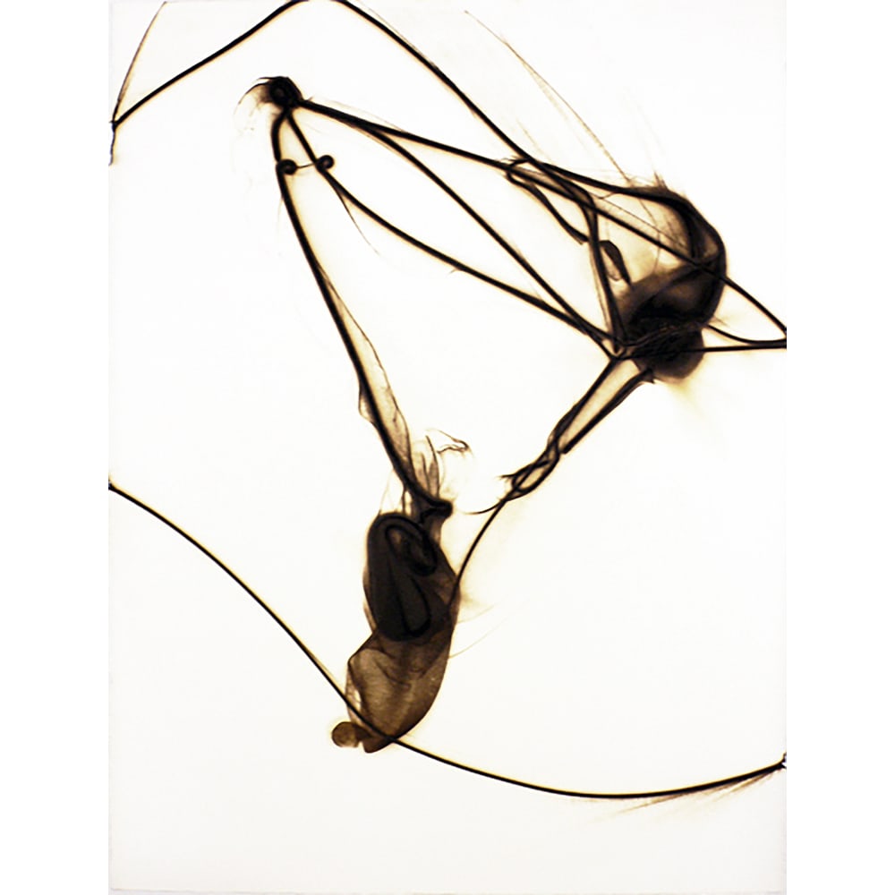 Etsuko Ichikawa, Trace 497 (1 of 1)