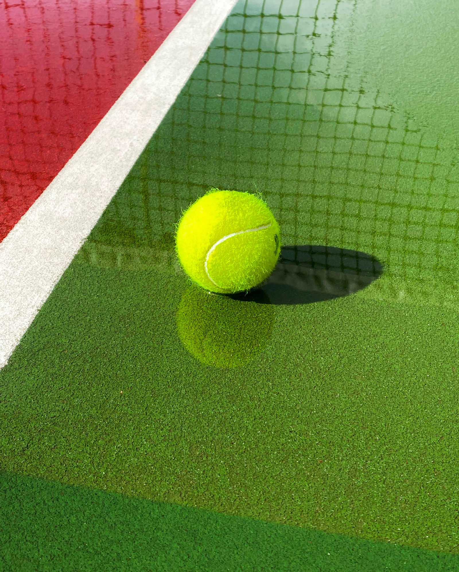 Sophie Carroll, Court 3: Sophie Carroll's photography is a complex combination of geometry, color, pattern, and repetition. This photograph has been exhibited at Turner Carroll Gallery and elsewhere internationally. The