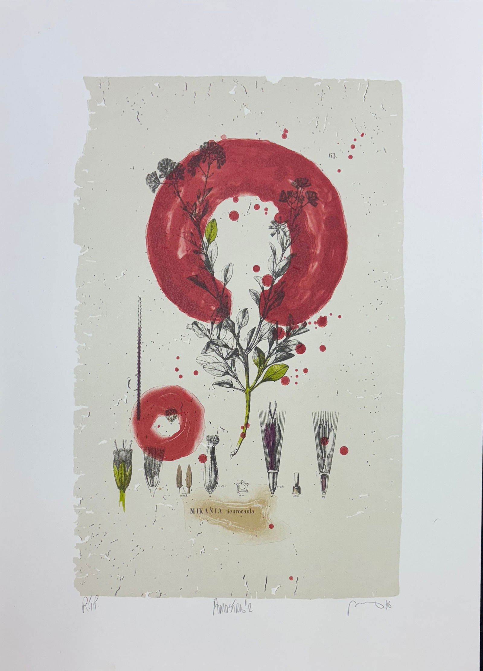 Bob Nugent, Amostra #2 (1 of 1)