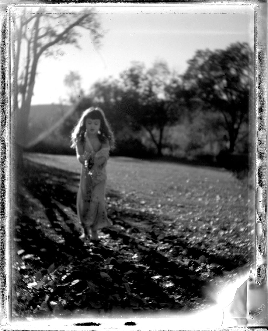 Julie Graber, Collect (1 of 1)