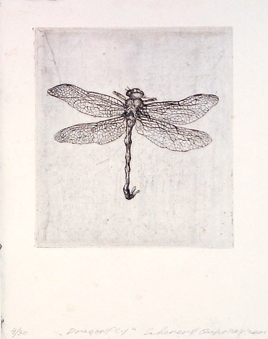 Suzanne Scherer, Dragonfly (1 of 1)
