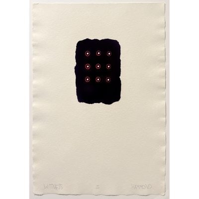 Harmony Hammond, Witness: Harmony Hammond's work can be found in museums throughout the world, with a major presence in the Brooklyn Museum's Gallery of Feminist Art. Hammond, who resides in New Mexico, was a pivotal figure