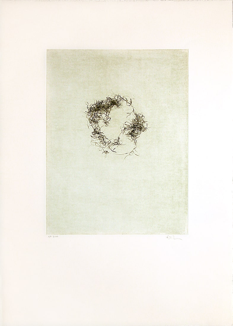Debra Rubino, untitled (spanish moss) 1: Debra Rubino is known for her photography and printmaking skills, as well as her painting practice. This solar etching is in very good condition and is signed by the artist. It is unframed.We do not o