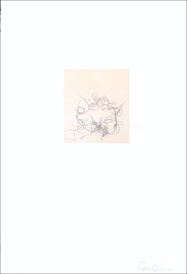 Debra Rubino, Variation No. 3: Debra Rubino is known for her photography and printmaking skills, as well as her painting practice. This print is in very good condition and is signed by the artist. It is unframed.We do not offer