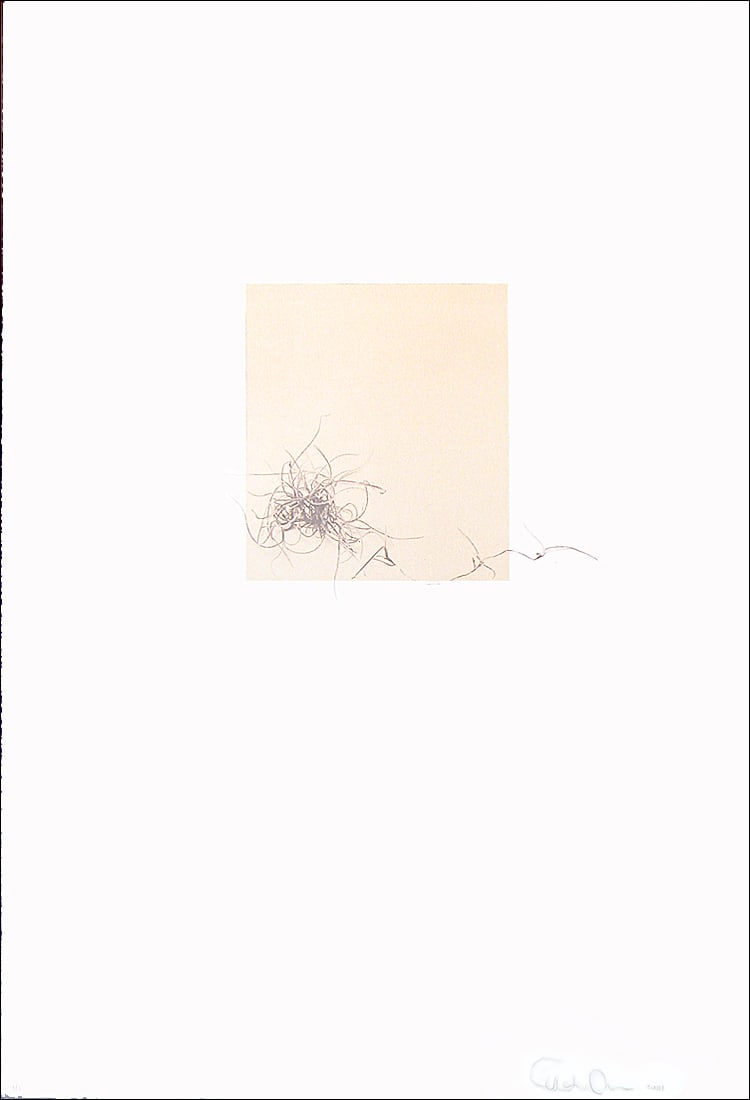 Debra Rubino, Variation No. 1-4: Debra Rubino is known for her photography and printmaking skills, as well as her painting practice. This print is in very good condition and is signed by the artist. It is unframed.We do not offer