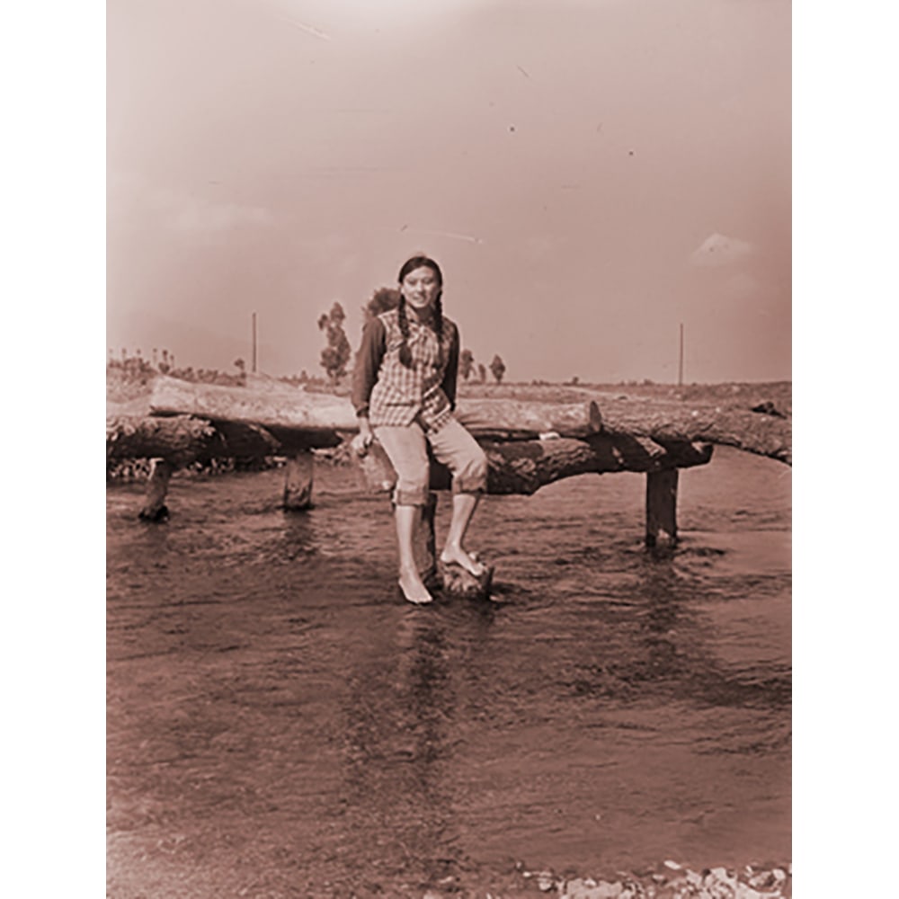 Hung Liu, Village Portrait: Broken Bridge (1 of 1)