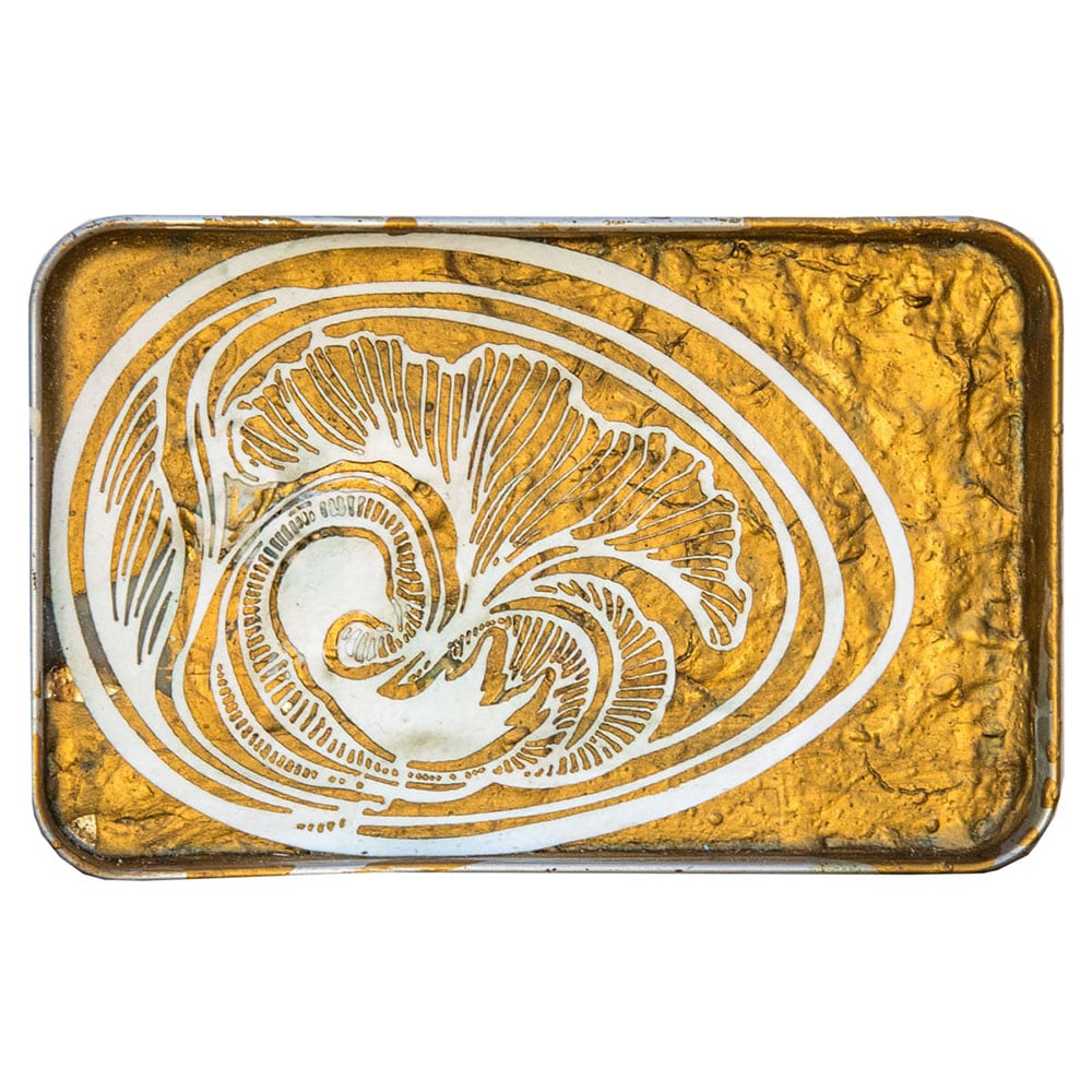 Swoon , Eidophone 24