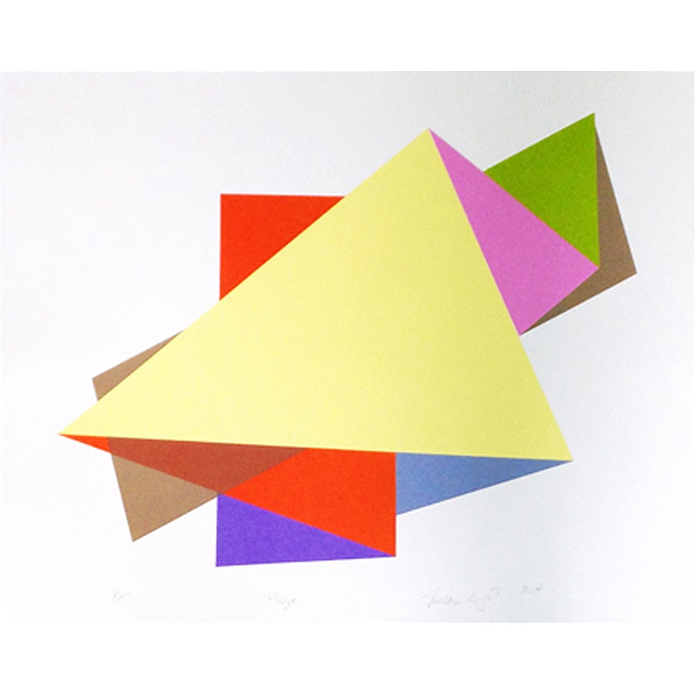 Mokha Laget, Pliage: Mohka Laget’s work often engages contradictory light sources which open the viewer to infinite perceptual shifts between flow and disruption. This is the geometry she is fascinated by, as a way to